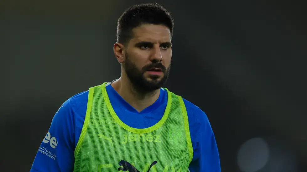 وكيل ميتروفيتش