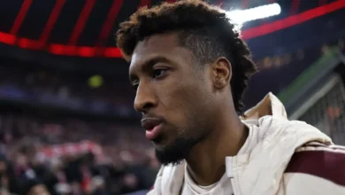 النجم الفرنسي