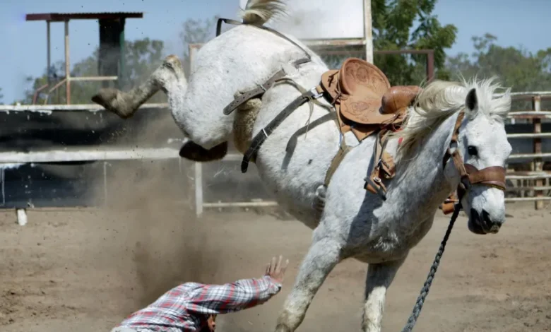 تفسير حلم الحادث في المنام لابن سيرين