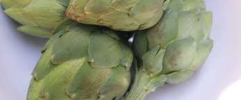 فوائد الخرشوف الصحية للكبد والهضم وخسارة الوزن