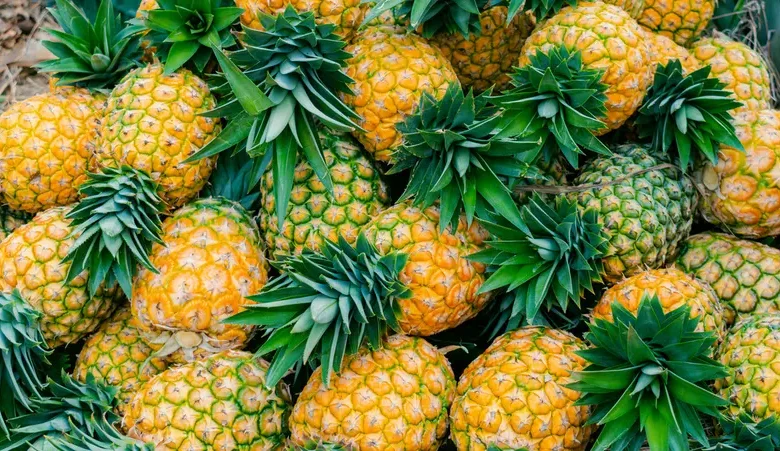 فوائد الأناناس الصحية: كيف يدعم الهضم ويقلل الالتهاب ويحسن صحة القلب؟