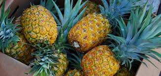 فوائد الأناناس الصحية: كيف يدعم الهضم ويقلل الالتهاب ويحسن صحة القلب؟