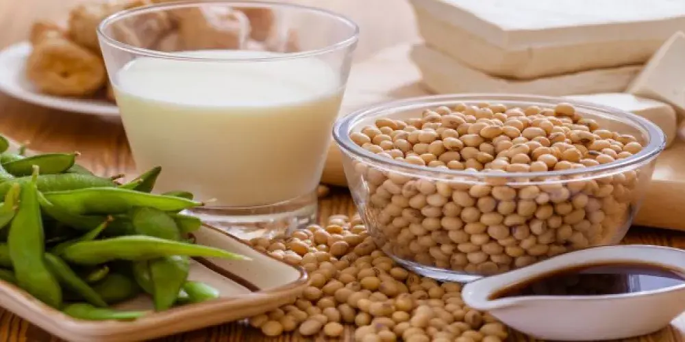 فوائد حليب الصويا وأضراره المحتملة.. هل شربه يومياً آمن؟