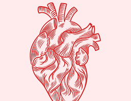 دراسة أميركية الأطعمة فائقة المعالجة ترفع خطر النوبات القلبية والسكتة الدماغية 47%