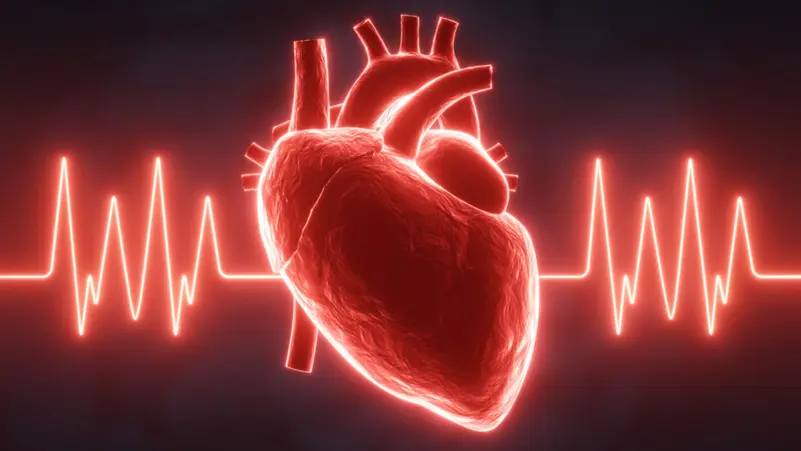 تقنية الجيل المغناطيسي لعلاج الرجفان الأذيني