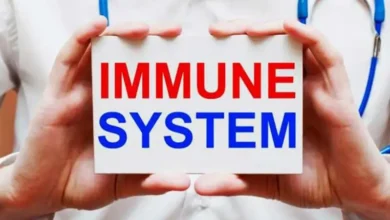 أفضل الأطعمة لتقوية المناعة في رمضان لمرضى ضعف الجهاز المناعي