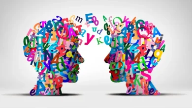 كيف يؤثر التوتر على الدماغ؟ دراسة تكشف دور الكورتيزول في إضعاف القدرة على التوجيه