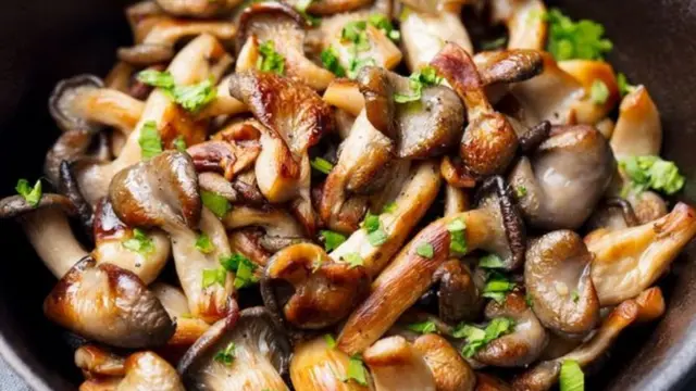 فوائد الفطر لخفض ضغط الدم وتعزيز صحة القلب