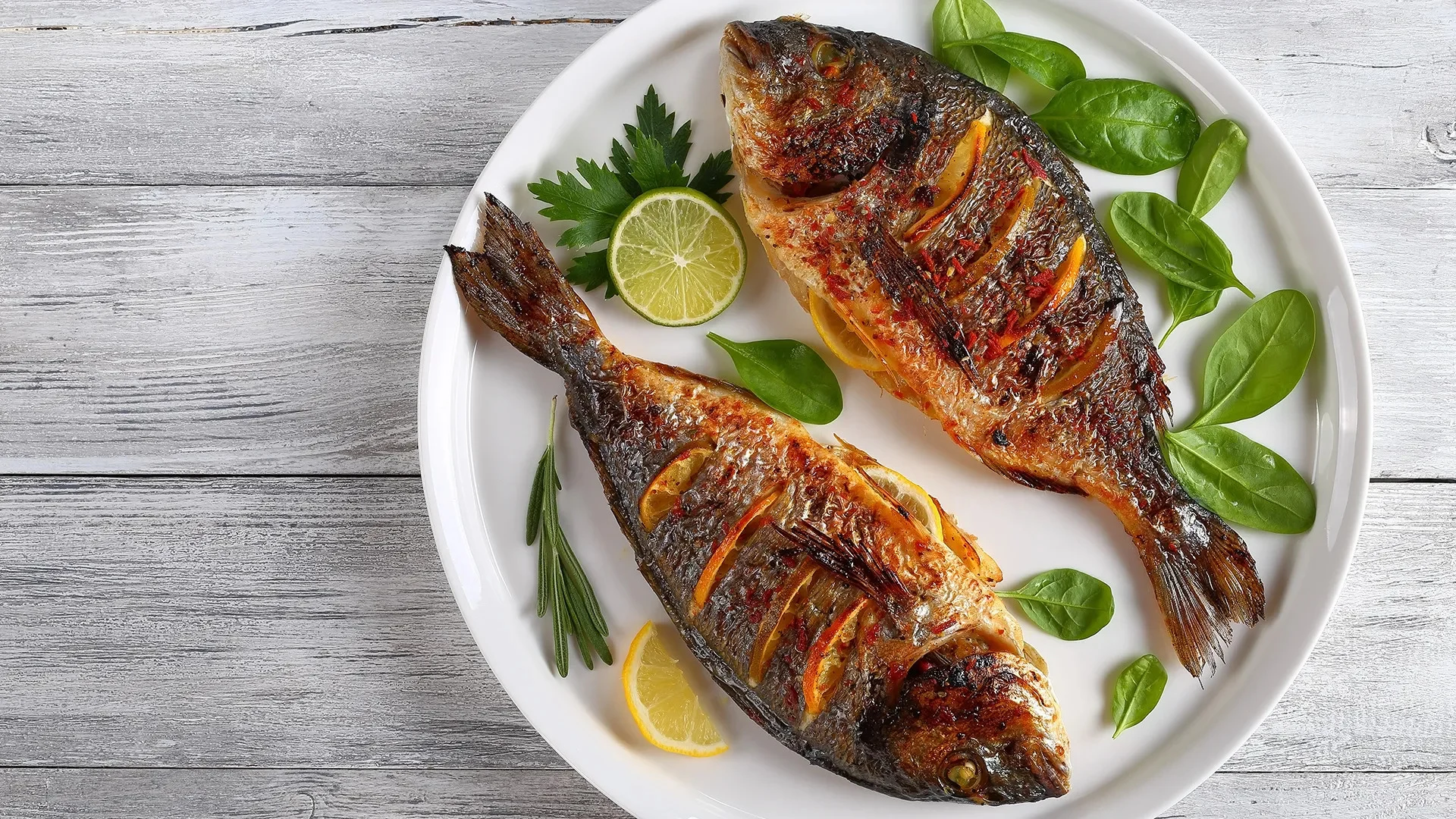 تفسير رؤية أكل السمك في المنام دلالات الخير والرزق حسب ابن سيرين