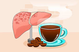  القهوة وصحة الكبد هل هي مفيدة فعلًا