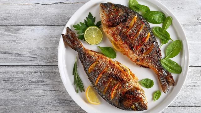 تفسير رؤية أكل السمك في المنام دلالات الخير والرزق حسب ابن سيرين